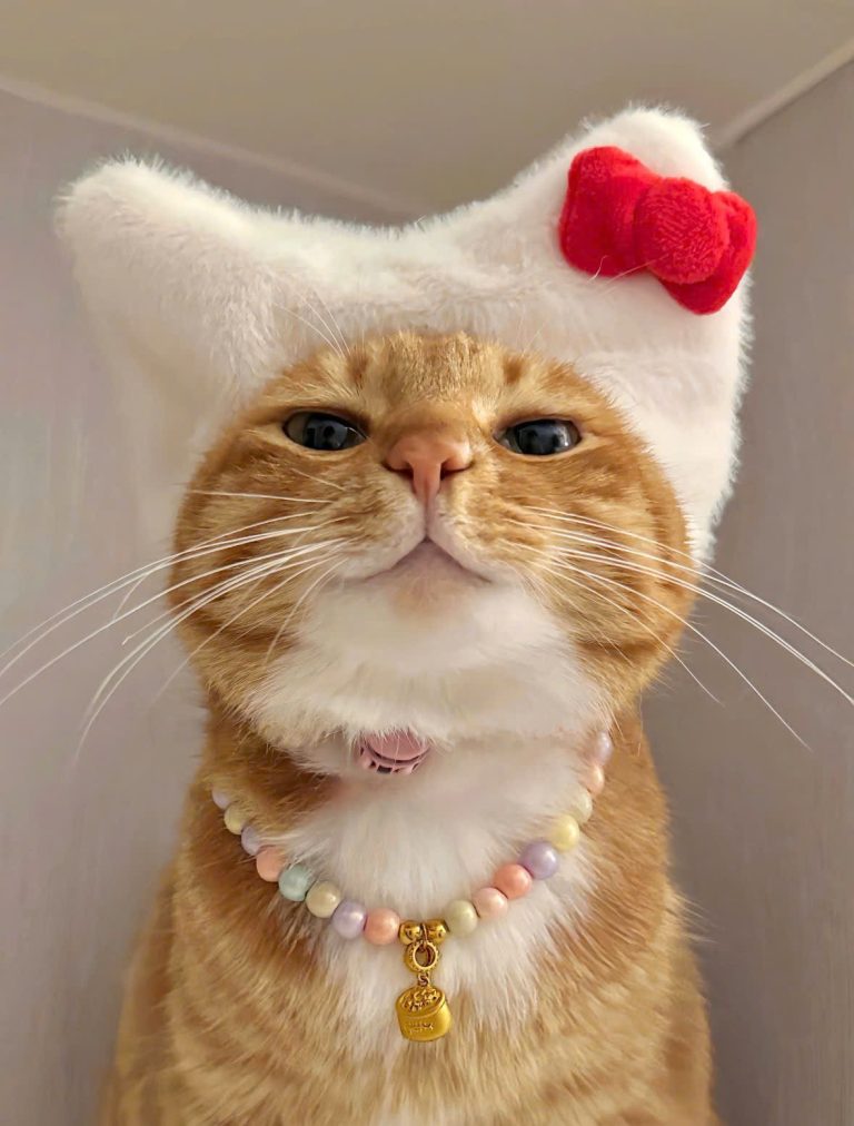 Trọng Sinh: Chu Gia Chọn Nhầm Người